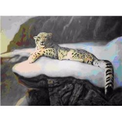 Artists original painting of a snow Leopard - “Above The Clouds”