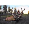 Image 1 : Northern Saskatchewan 2 day Trophy Elk Hunt