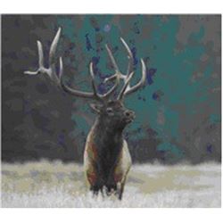 Governor’s Westside Elk Tag