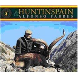Trophy Mouflon Sheep, Fallow Deer or Red Deer in Spain