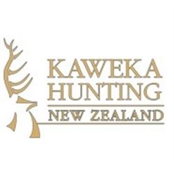 Silver Medal Stag for One Hunter