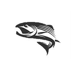 4 Person Full Day Salmon and Halibut Charter Ketchikan, Alaska