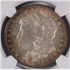 Image 2 : 1887 MORGAN SILVER DOLLAR, NGC MS-65 GEM