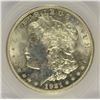 Image 2 : 1921 MORGAN DOLLAR SEGS MS-64