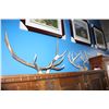 Image 1 : SET OF ELK ANTLERS AND SET OF DEER ANTLERS