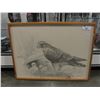 Image 1 : FRAMED PERIGREN FALCON DRAWING