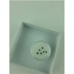 GEM JAR FILLED WITH 6 GENUINE UNCUT BLACK DIAMONDS