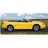 Image 1 : 1998 FORD MUSTANG COBRA CONVERTIBLE