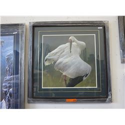 Framed print: "Defensive Stand" by Robert Bateman