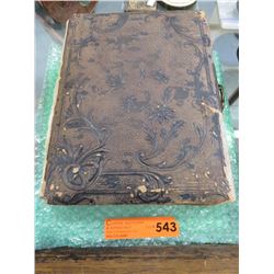 Hand painted Victorian photo album