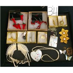 Lot of 15 + Pieces Fashion Jewelry, Necklaces, Pins, Etc.