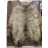 Image 2 : Large Elk Hide