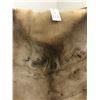 Image 3 : Large Elk Hide