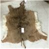 Image 1 : Deer Hide