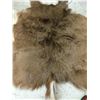 Image 2 : Deer Hide