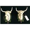 Image 1 : Pair of Cast Iron Steer-head Decorative Items