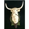 Image 2 : Pair of Cast Iron Steer-head Decorative Items