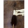 Image 2 : Lot 2 Decorative Spears