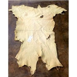 Deer Hide