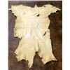 Image 1 : Deer Hide