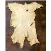 Image 3 : Deer Hide
