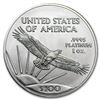 Image 1 : 2007 1 oz Platinum American Eagle BU