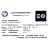 Image 3 : 14KT White Gold 1.35 ctw Sapphire and Diamond Earrings