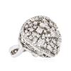 Image 2 : 14KT White Gold 2.74 ctw Diamond Ring