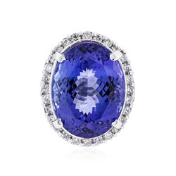 14KT White Gold 23.51 ctw Tanzanite and Diamond Ring