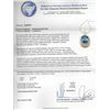 Image 3 : 14KT Yellow Gold 12.76 ctw Tanzanite and Diamond Pendant With Chain