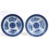 Image 1 : Seventeen 19th Century Chinese Blue and White Plates, decorated flowers in underglaze blue (a.f.)...