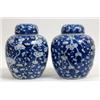 Image 1 : A Pair of Chinese Ginger Jars and Covers, decorated prunus in underglaze blue, four character mar...