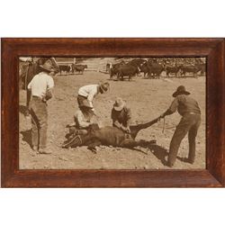 Wyoming Branding Photograph