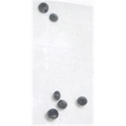 TOTAL OF 6 .30 CARAT TDW *EXTREMELY RARE BLACK DIAMONDS *TESTED AUTHENTIC* DIAMOND ROUND CUTS AND FA