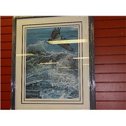 FRAMED  LIMITED EDTION PRINT - ABOVE THE BREAKERS - OSPREY - RON PARKER  - GALLERY ESTIMATE - 775