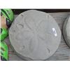 Image 1 : CONCRETE - SAND DOLLAR