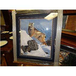 FRAMED PRINT - BOBCAT IN THE SNOW - DANIEL SMITH - GALLERY ESTIMATE $625