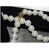 Image 1 : NECKLACE AND EARRING SET - SOUTH SEA WHITE SHELL PEARLS - HAND TIED - NEW