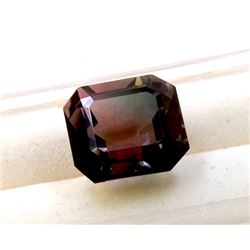 9.27 ct  Natural Bi-color Tourmaline