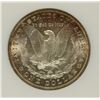 Image 3 : 1884-O MORGAN SILVER DOLLAR PCI MS63 COLOR!