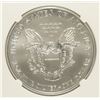 Image 3 : 2003 AMERICAN SILVER EAGLE, NGC MS-69
