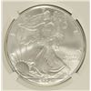 Image 2 : 2004 AMERICAN SILVER EAGLE, NGC MS-69