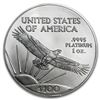 Image 2 : 2008 1 oz Platinum American Eagle BU