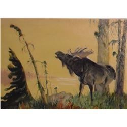 Moose Call