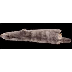Montana Silver Mink Tanned Hide