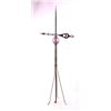 Image 1 : Antique Lightning Rod