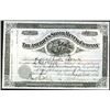 Image 1 : Americus Silver Mining Co., 1884 Stock Certificate.