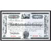 Image 1 : New Orleans Cotton Exchange of New Orleans Specimen Shares. 1920s.