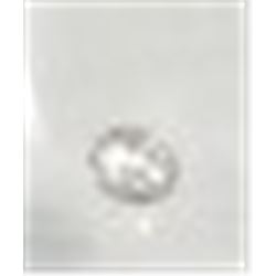 .08 CARAT WHITE DIAMOND *TESTED AUTHENTIC* DIAMOND ROUND CUT AND FACETED GEM!! GEM CAME OUT OF SAFE!