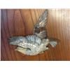 Image 3 : 19th C. Japanese Screen Ivory & Pearl Carvings